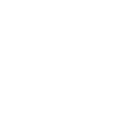 FC Veto